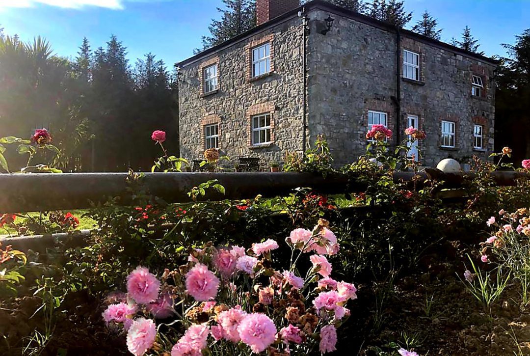 Garden House Carnations 1080x725